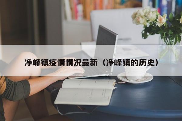 净峰镇疫情情况最新（净峰镇的历史）